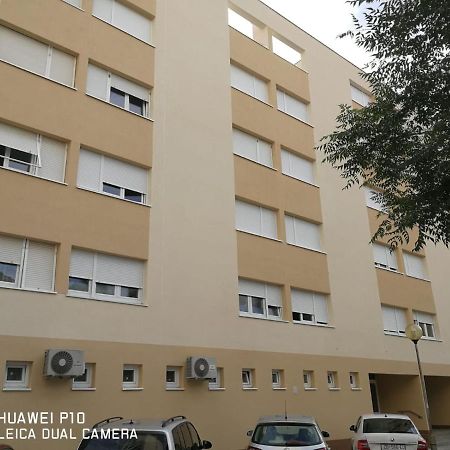 Apartment Mihaela زادار المظهر الخارجي الصورة